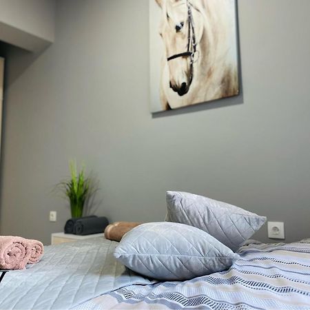 Nj Luxury Rooms And Suites ヴァルナ エクステリア 写真